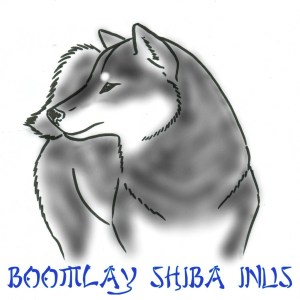cropped-shiba-outline-2-edited-001blacktan