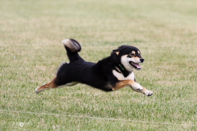 489AF95B-D297-4DB1-9D35-021F70DF996D