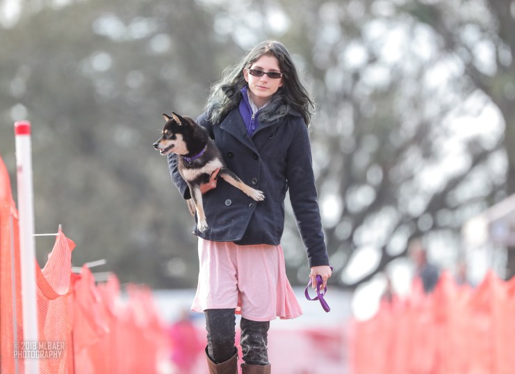 Brooksville - Nekora 14.jpg