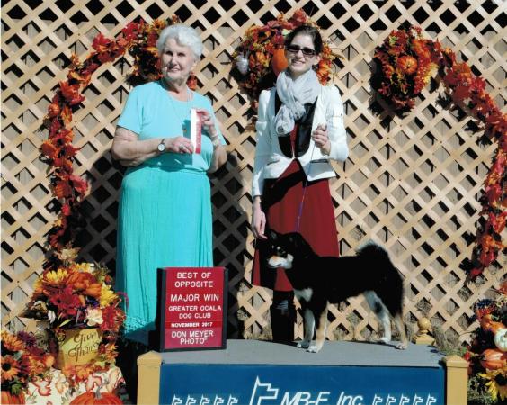 Nekora win picture GCH 4 point Major