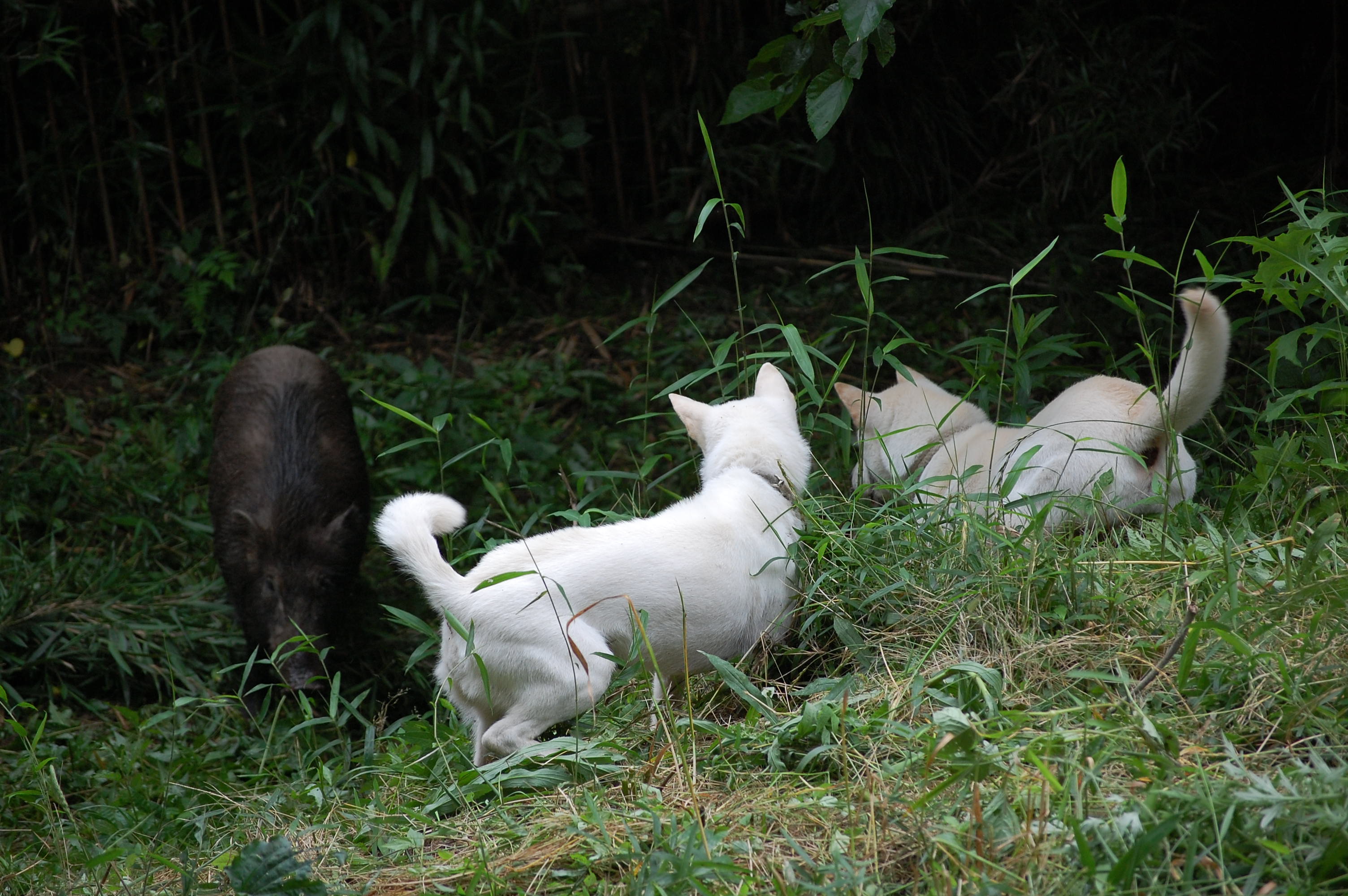 230C02AC-8B88-42FB-9078-B6B0BE4D6D00