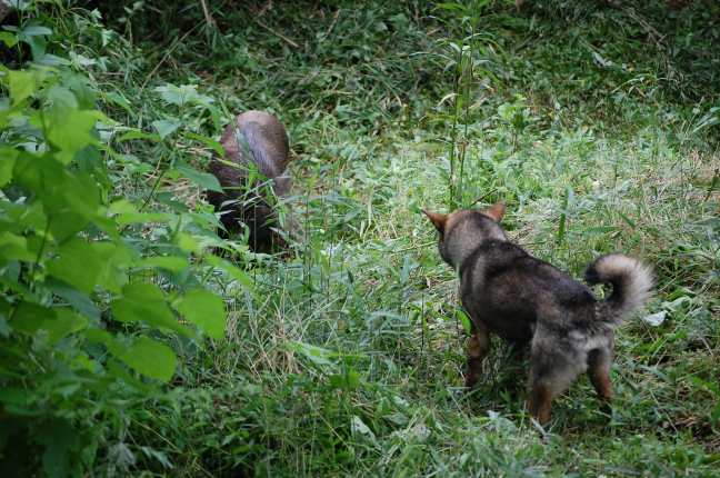 86DD8991-5BF8-4ED7-9B25-03A71E5F1AEE