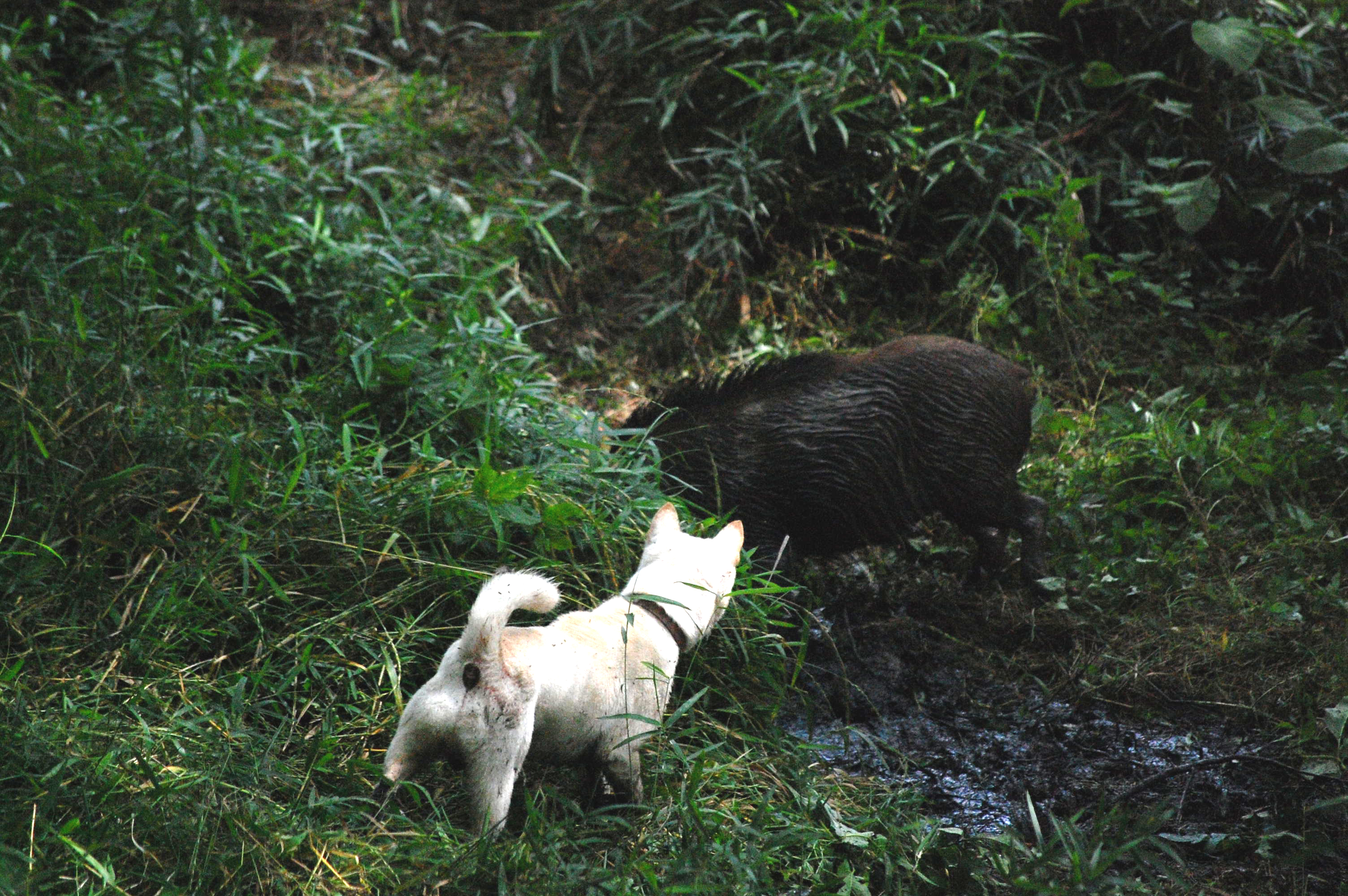 B7AF90F6-FD45-4011-8827-BD5EDA4F1561