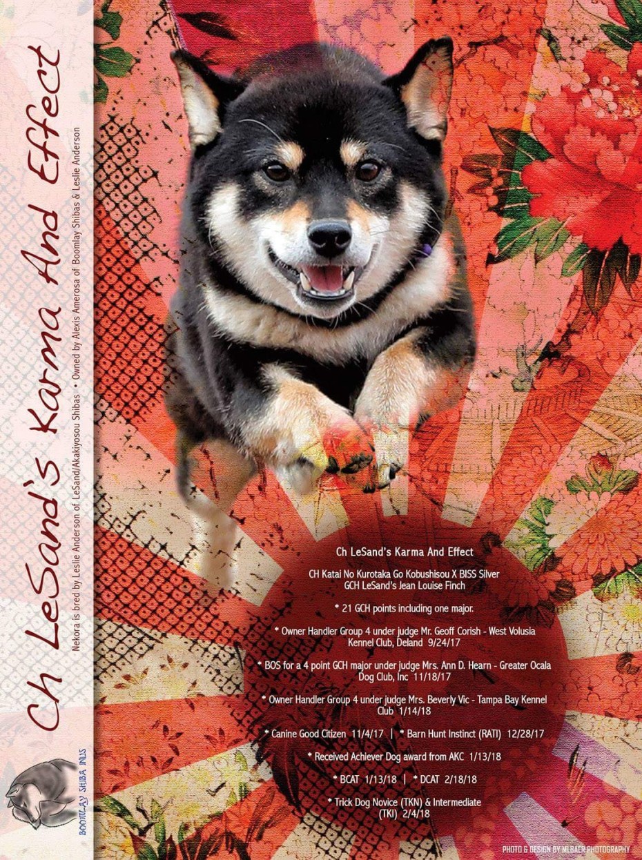 838A3F8F-B9D1-4C0A-A381-F28B104E3BE1