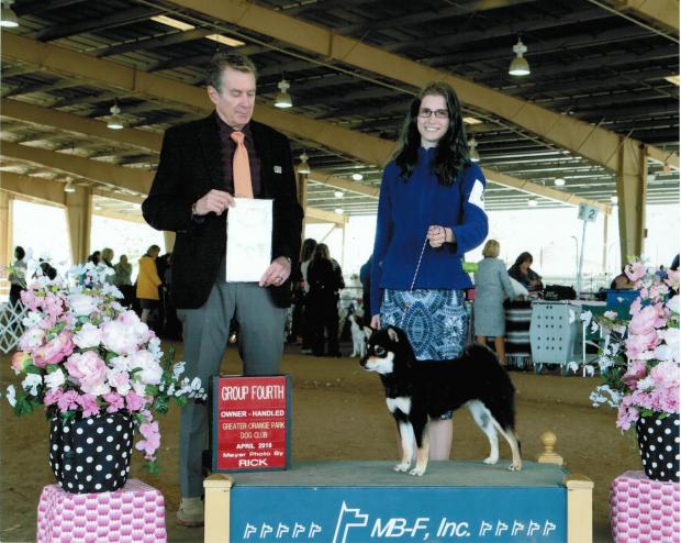 Nekora Owner Handler Group 4th Elkton 2