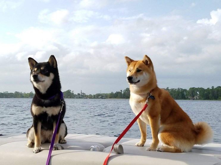 CA9147B8-E8D6-4D72-B887-CD58CC9BFA83