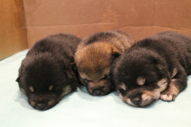 D1D4E188-156C-4853-A8E1-01DDA8768F8C