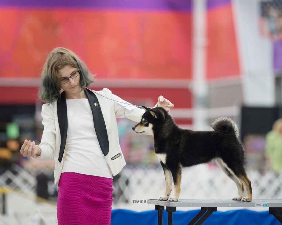 Nekora - National 2018.jpg