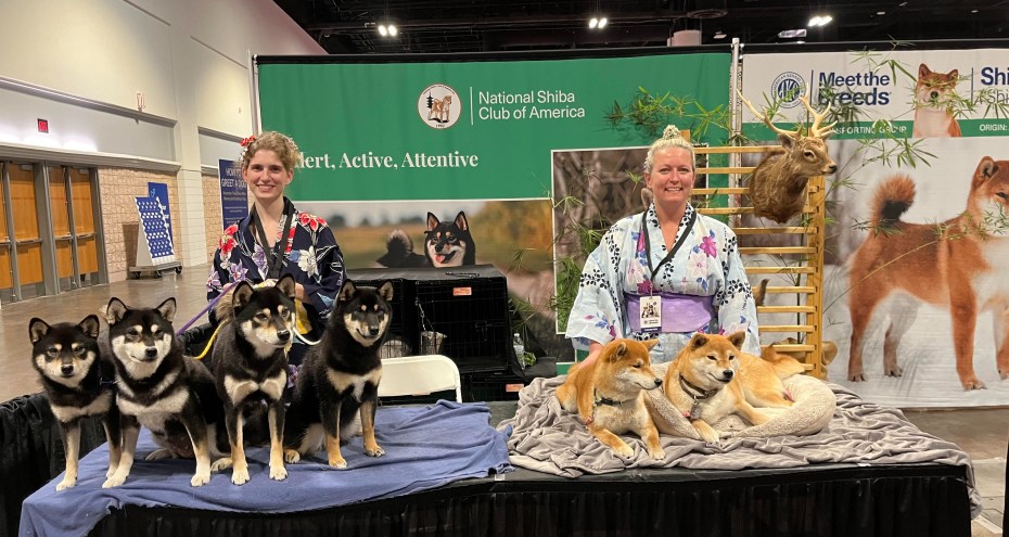 Meet the Breed Tampa 2022