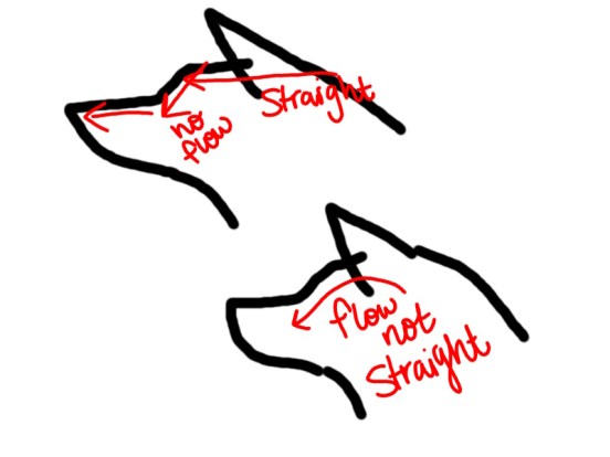 Straight-flat forehead diagram