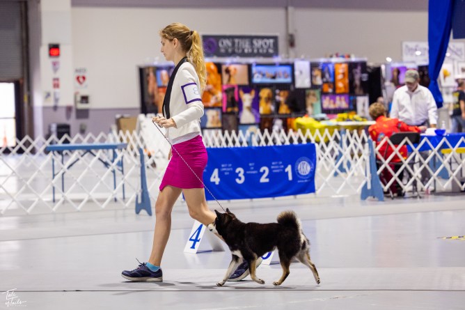 webnew camera ringsides-98